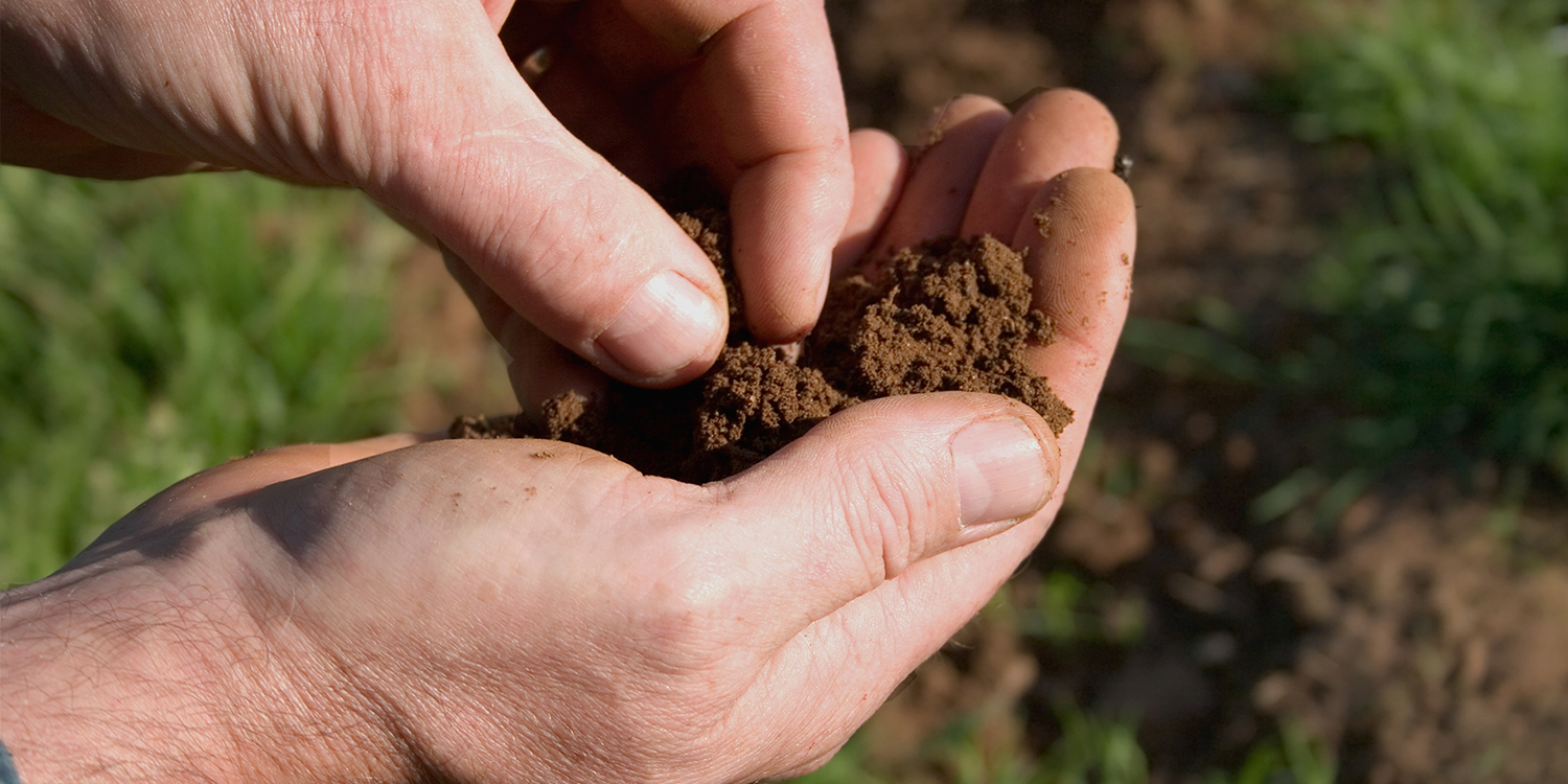 Person holding soil in their hand checking for quality