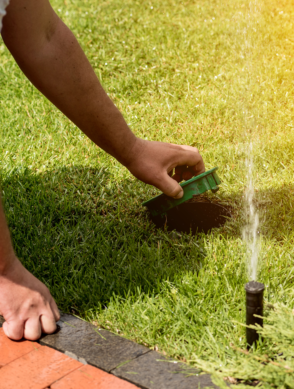person hand checking soil with sprinkler running