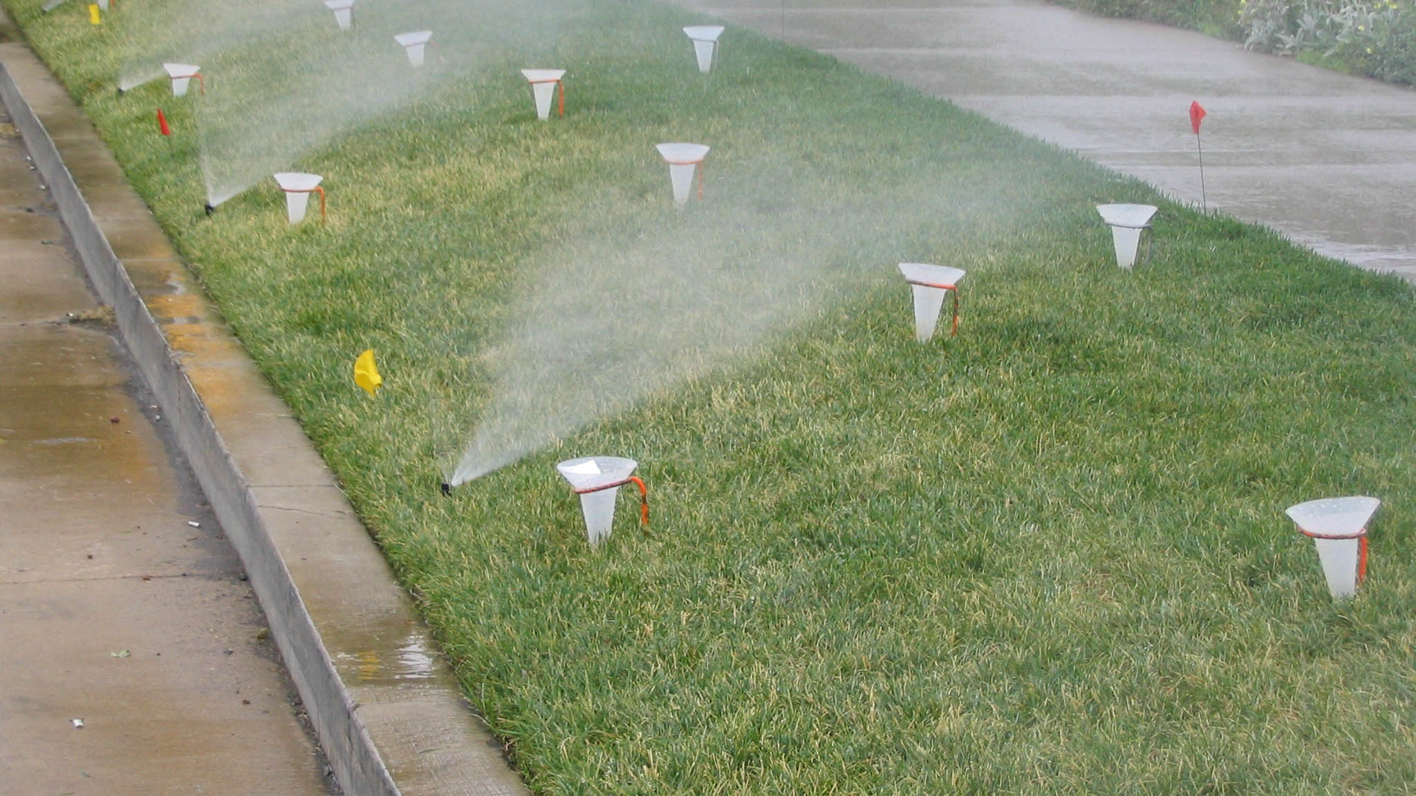 Catch cups used during irrigation audit